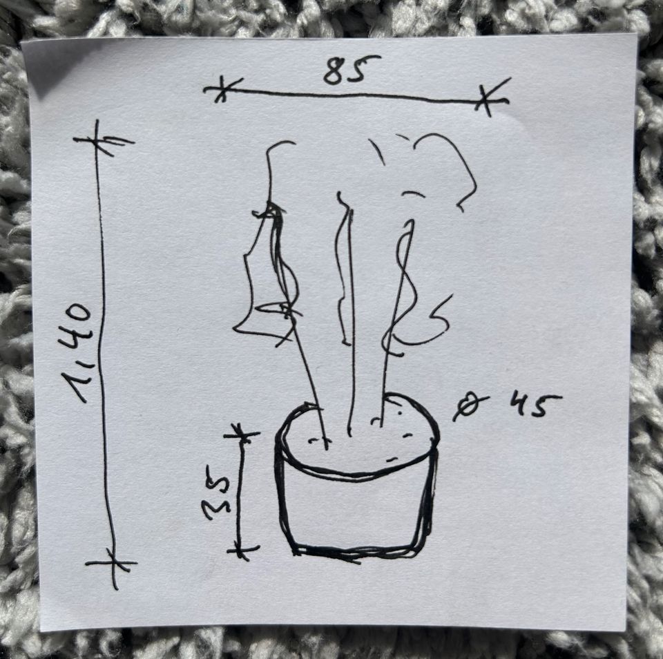 Pflanze Kirschlorbeer mit Pflanzkübel D=45cm in München