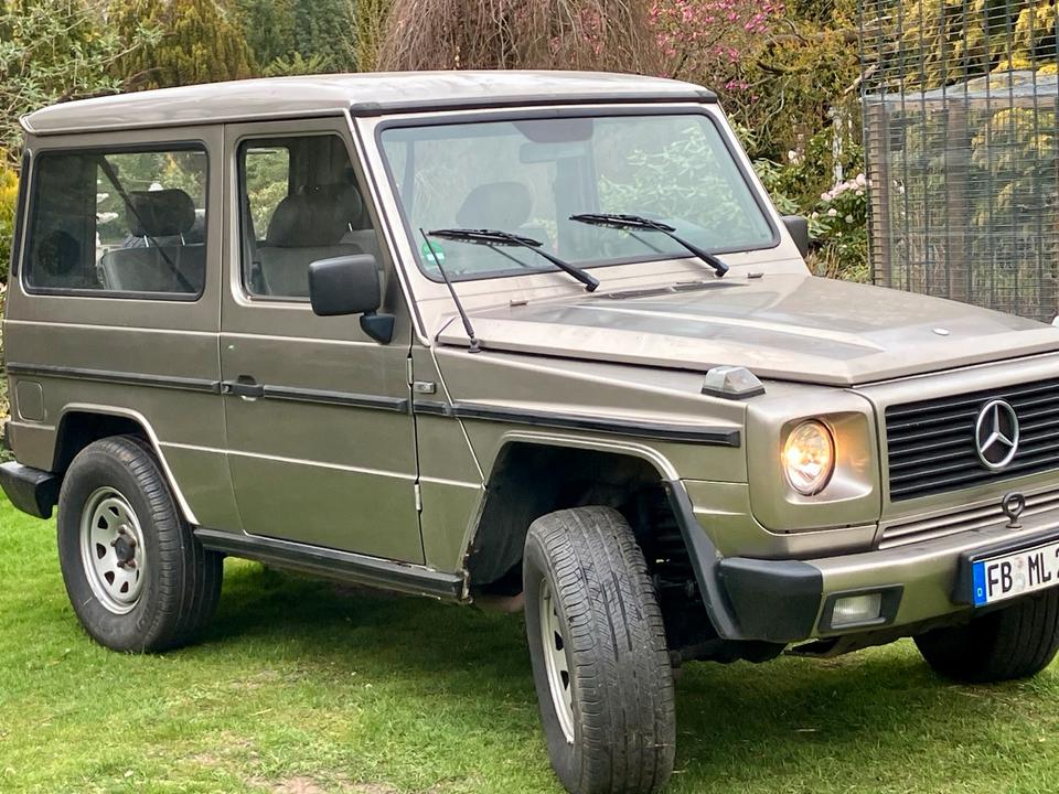 Mercedes Benz G300 Mercedes G klasse mercedes G300 Allrad 4x4 in Loxstedt