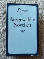 Theodor Storm, Ausgewählte Novellen Baden-Württemberg - Billigheim Vorschau