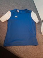 Adidas Shirt Gr. 152 Berlin - Reinickendorf Vorschau