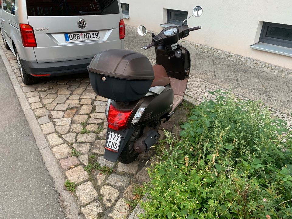 Kymco Motorroller in Brandenburg an der Havel