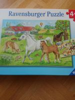 Ravensburger Puzzle Pferde 2x 24 Teile. 4 Jahre Sachsen-Anhalt - Merseburg Vorschau