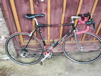 Rennrad Eddy Merckx retro Campagnolo RH 54 Nordrhein-Westfalen - Medebach Vorschau