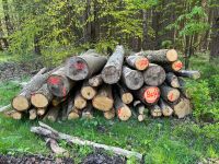 Brennholz direkt vom Forstbetrieb Sachsen-Anhalt - Harzgerode Vorschau