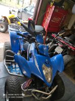 Quad Nerfbars Fußrasten Bügel Kimco Maxxer KXR Mongoose 250-300cc Nordrhein-Westfalen - Rheine Vorschau