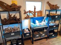 Verschiedene Mangrove Aquarium Wurzel Hardscape NEU Nordrhein-Westfalen - Hiddenhausen Vorschau