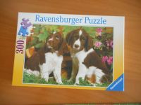 Ravenburger Puzzle 300 Teile " 2 Hundewelpen" Berlin - Steglitz Vorschau