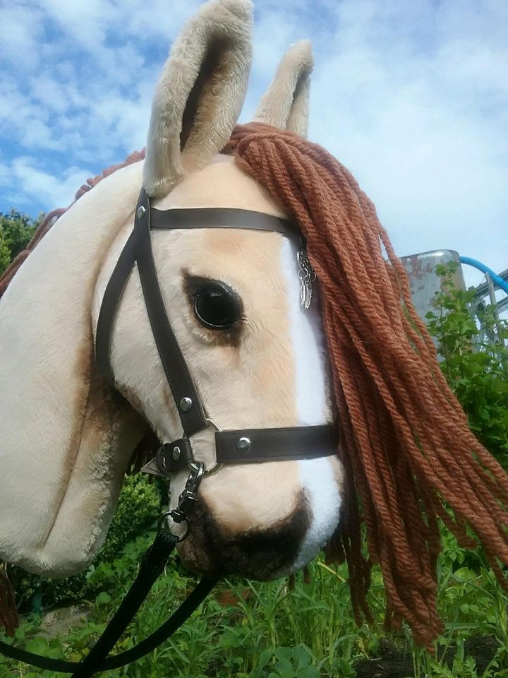 Hobby Horse realistisch, Hobbyhorse in Nentershausen