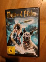DVD, Magie auf 4 Pfoten, FSK 6 Rheinland-Pfalz - Weyher in der Pfalz Vorschau