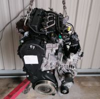 Motor Komplett Ford KUGA MONDEO T8CB 2,0 TDCI 64Tkm Brandenburg - Küstriner Vorland Vorschau