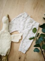 ᕱ Sweathose Bär beige H&M 68 ᕱ #Familie_B_68 Niedersachsen - Braunschweig Vorschau