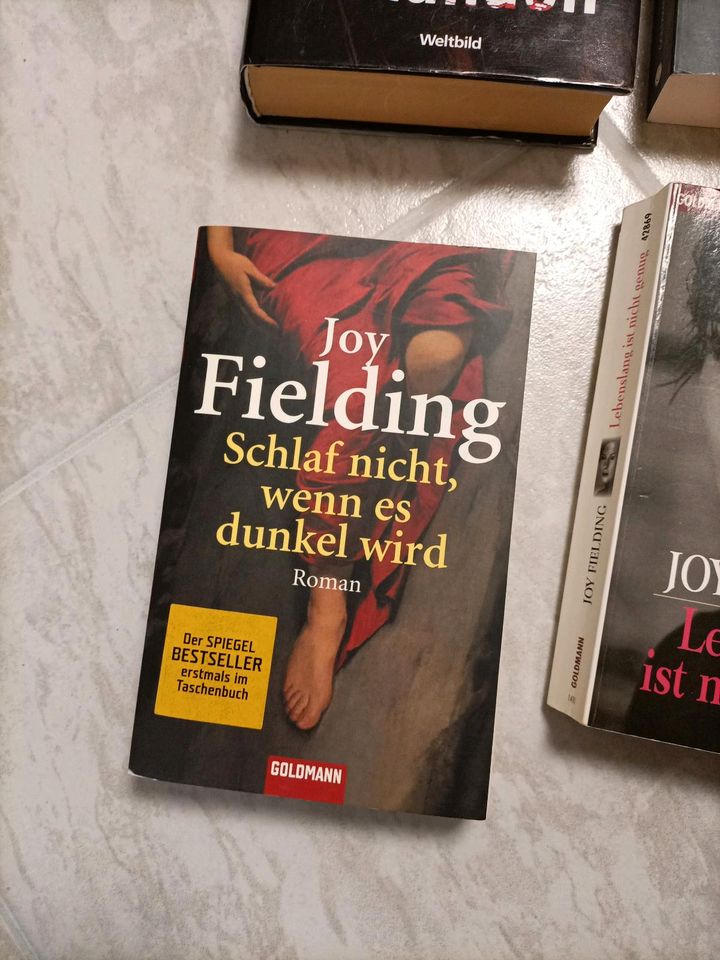 Thriller roman joy Fielding in Nienburg (Weser)