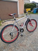 Fahrrad Mountainbike 19 Zoll Sachsen - Großrückerswalde Vorschau