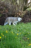 Wolf lebensgr0ß (MEGA DEKO-Figur) Rheinland-Pfalz - Gerolstein Vorschau