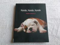 Hundefotobuch Araldo De Luca Niedersachsen - Bad Essen Vorschau