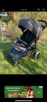 Joie litetrax Kinderwagen Niedersachsen - Bückeburg Vorschau