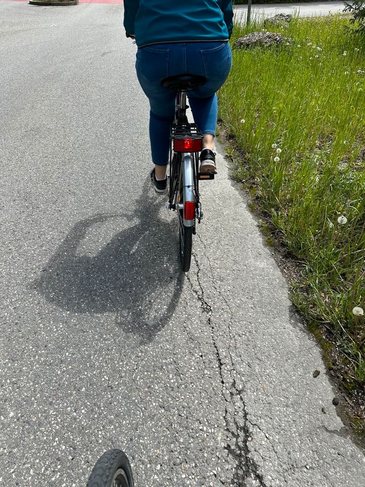 Damenfahrrad Schauff violett in Trostberg