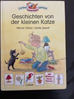 Buch „Geschichten von der kleinen Katze“ Schleswig-Holstein - Nübbel Vorschau