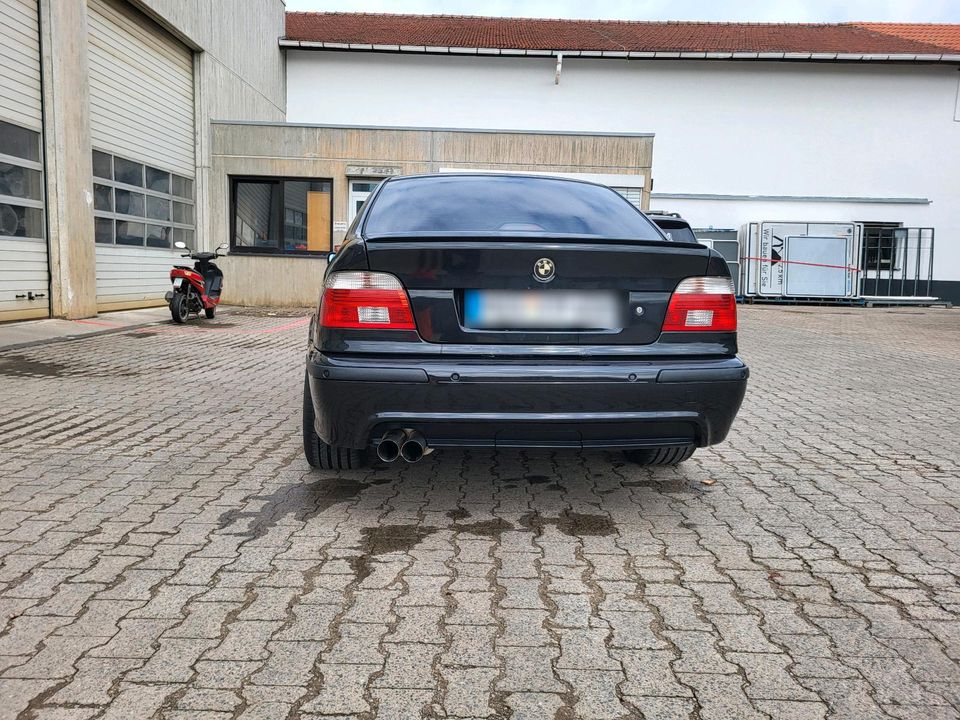 BMW E39 525i in Buchen (Odenwald)