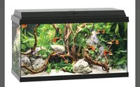 Juwel Aquarium Primo 60 Rheinland-Pfalz - Bobenheim-Roxheim Vorschau