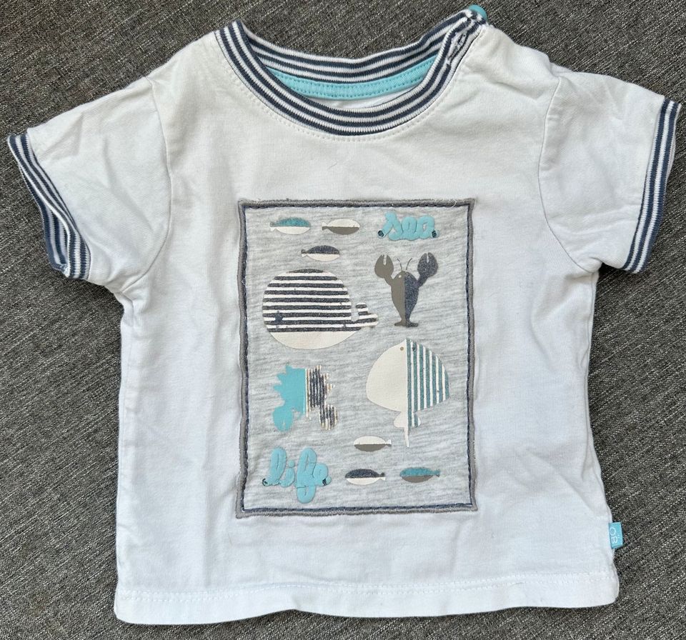 Obaibi Süßes T-Shirt Baby Junge Mädchen Gr. 56 mit Meerestieren S in Kassel