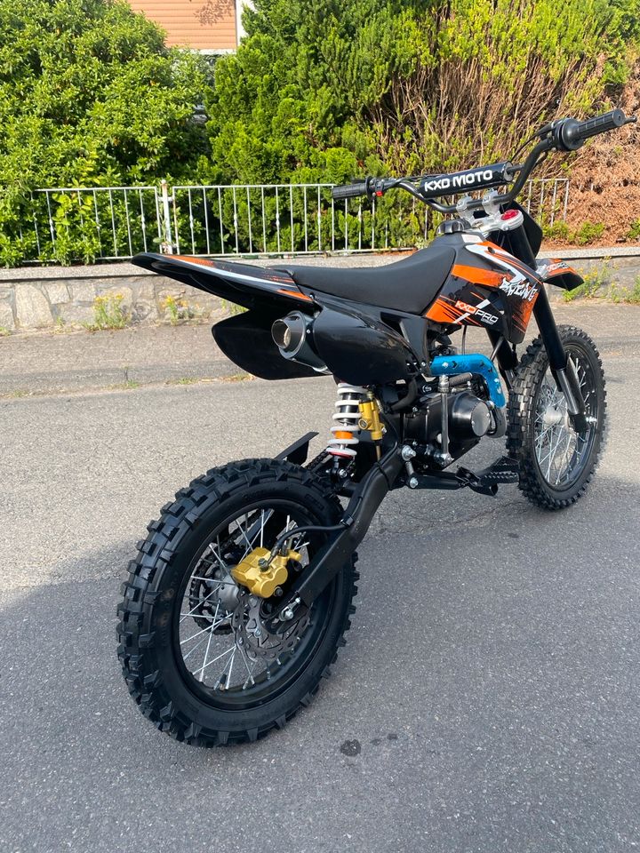 Pit Bike 125ccm KXD NEU Cross 17/14 Zoll Dirtbike Pitbike Tiger in Aschaffenburg