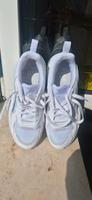 Herrenschuhe Puma Gr 44 Nordrhein-Westfalen - Gelsenkirchen Vorschau