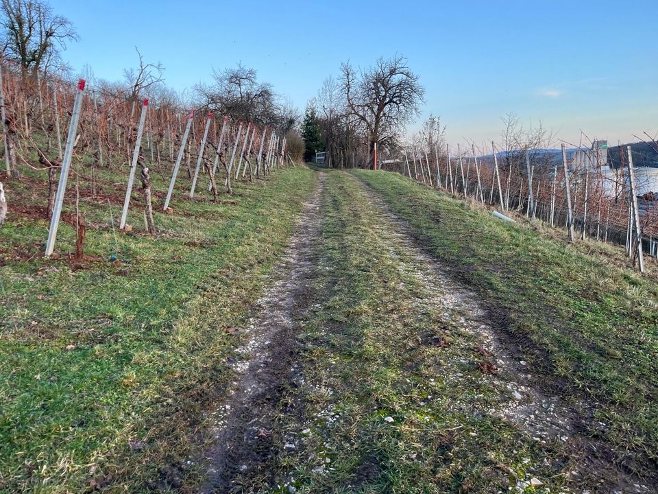 Garten Grundstück in Plochingen