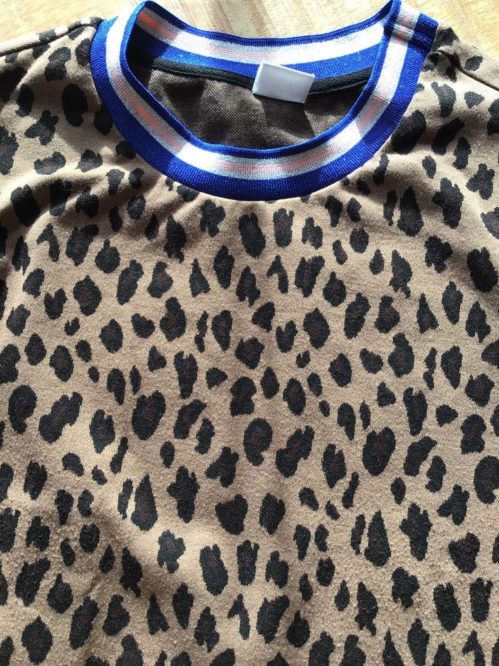 Sweatshirt Animal leo braun schwarz silber blau Impressionen ♥️ in Augsburg