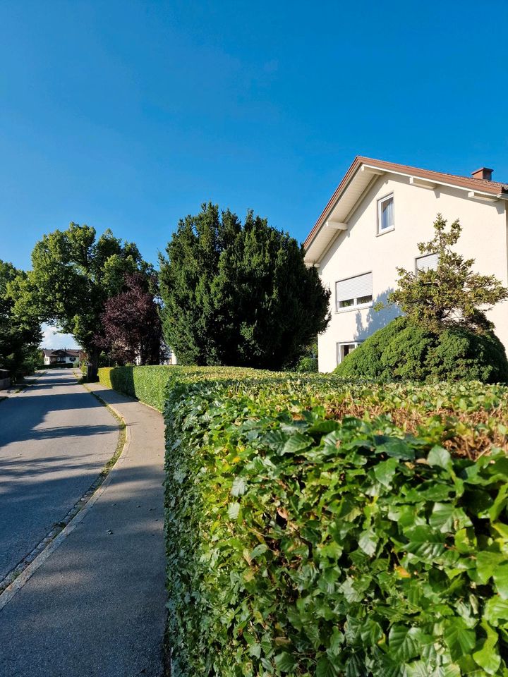 Reinigungskraft, Haus-Halter, Hausmeister in Grünenbach Allgäu