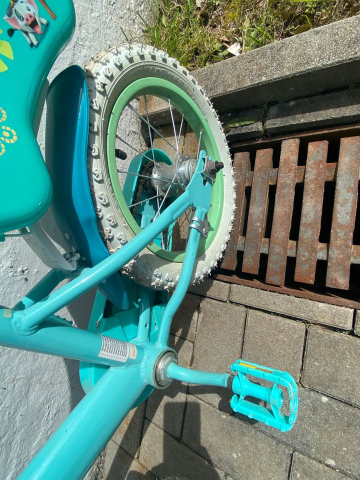 12,5" kinder fahrrad in Darmstadt