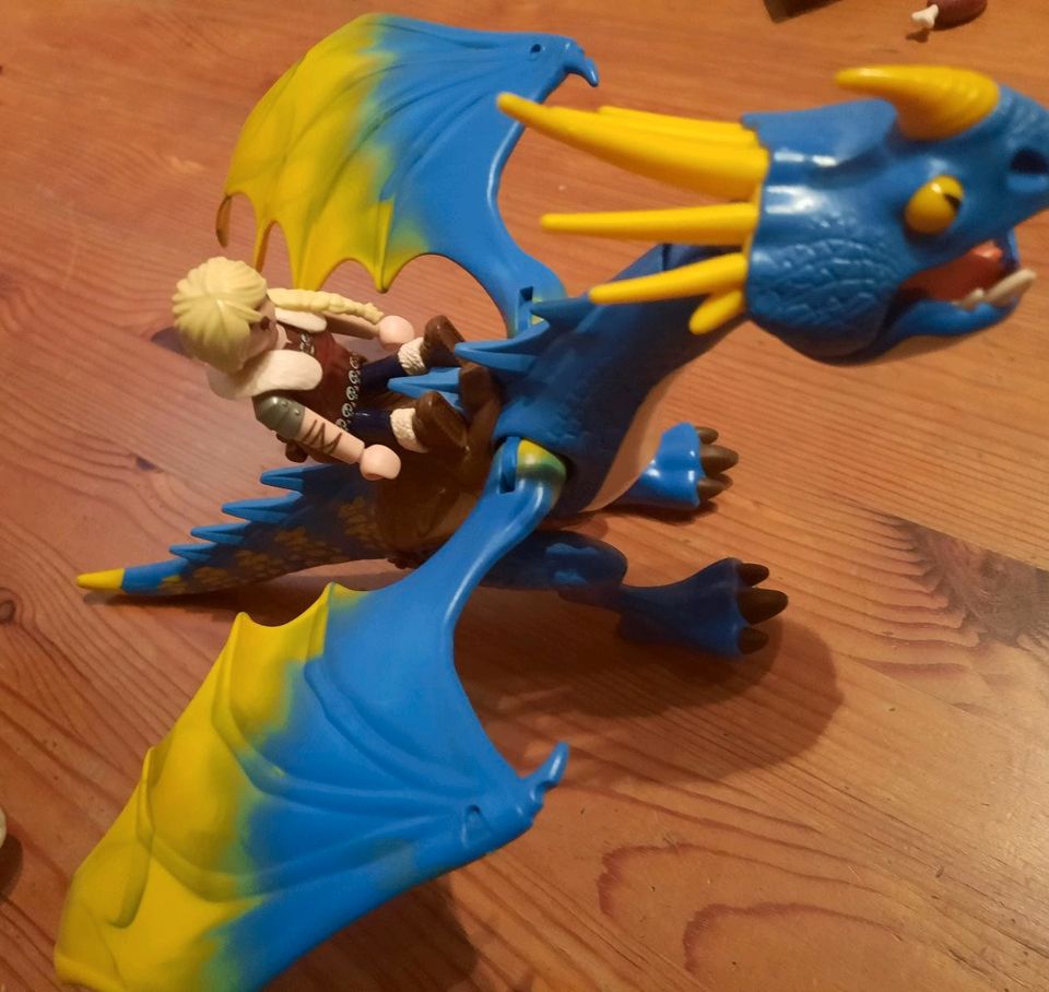 Playmobil Dragons Astrid und Sturmpfeil (9247 in Berlin