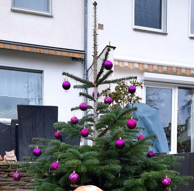 24 Christbaumkugeln aus Kunststoff in Mülheim (Ruhr)