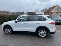 Winterreifen für Porsche Cayenne aus 2018/19 Niedersachsen - Neustadt am Rübenberge Vorschau