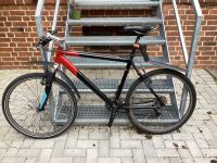 Mountainbike 26er     Rahmenhöhe 50 cm Wandsbek - Hamburg Wellingsbüttel Vorschau