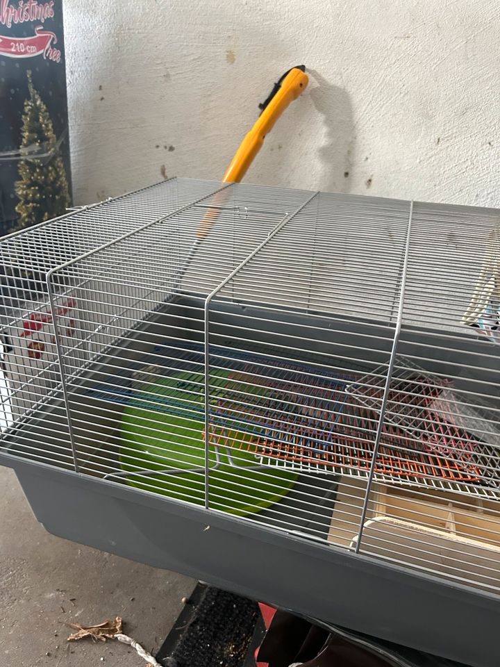 Hamsterkäfig mit Zubehör in Krefeld