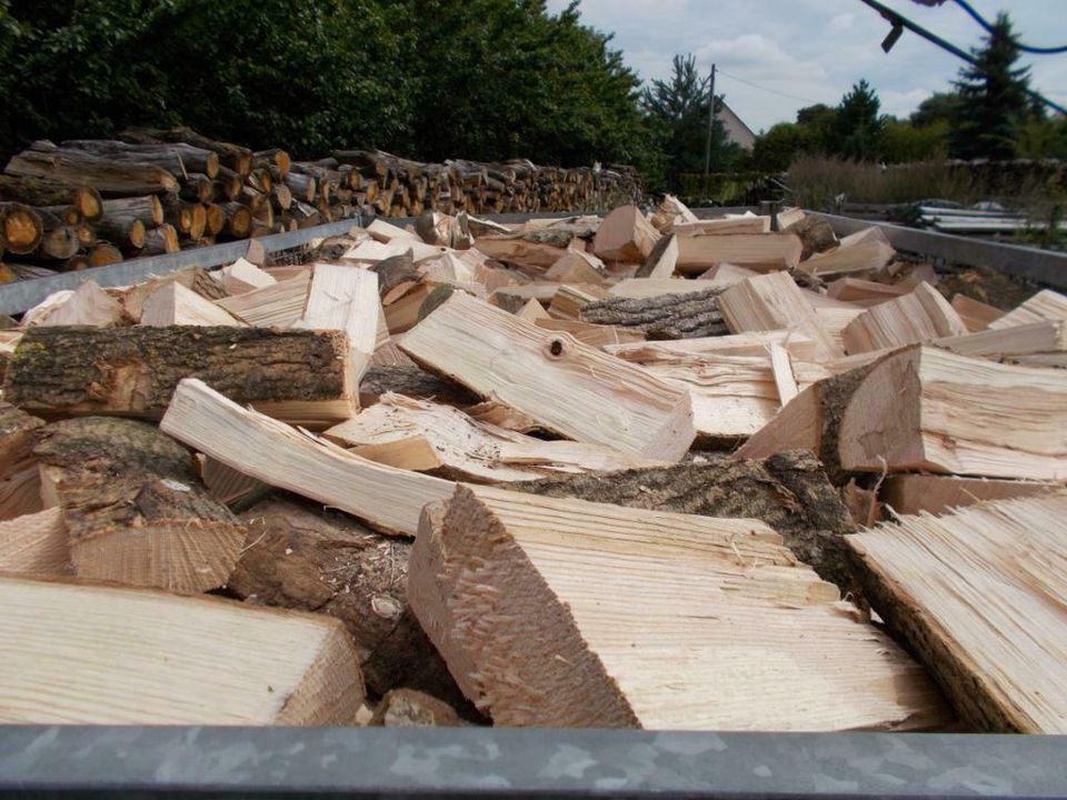 Kaminholz Brennholz Buche Eiche Esche Birke Kirsche Frühjahrsprei in Wittenhagen