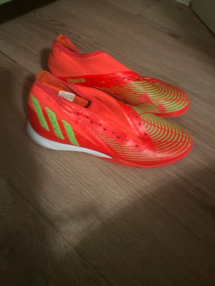 Adidas Predator in Diedorf