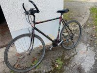 Trekkingrad Herren Allrounder Fahrrad Baden-Württemberg - Ravensburg Vorschau