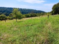 Wiese, Acker, Freizeitgrundstück, Wald Baden-Württemberg - Karlsdorf-Neuthard Vorschau