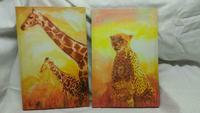 Afrika Giraffe Leopard  Bilder Wandsbek - Hamburg Bramfeld Vorschau