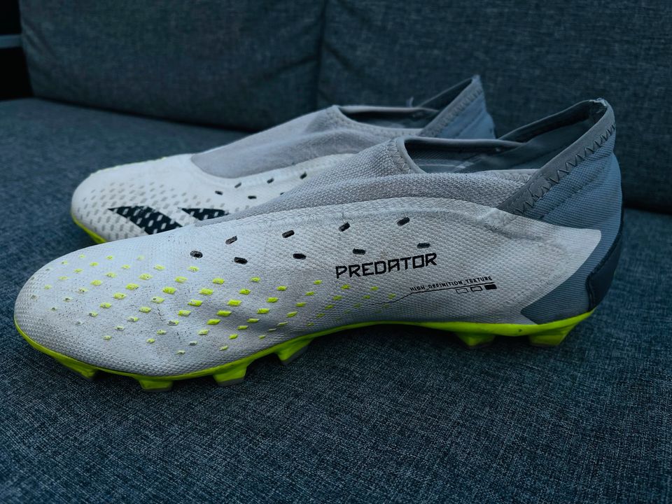 Adidas Predator Größe 43 1/3 in Gladbeck