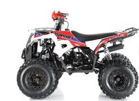 * ANGEBOT Kinderquad Speedex Junior Dirtmax 125 *SONDERPREIS Nordrhein-Westfalen - Bad Münstereifel Vorschau