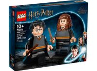 LEGO® Harry Potter 76393 Harry Potter™ & Hermine Granger™ Leipzig - Grünau-Mitte Vorschau