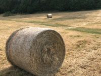 Heu 1. Und 2. Schnitt, Rundballen Saarland - Nohfelden Vorschau