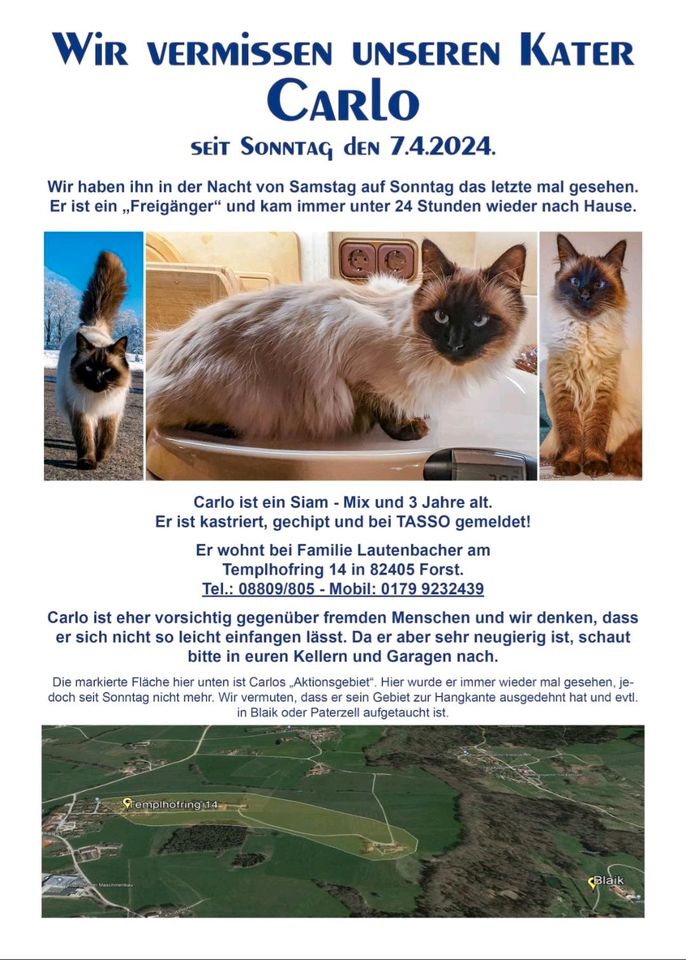 Vermisst Kater Carlo in Weilheim i.OB