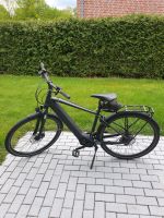 Scott e-Bike, Sub Sport 20, 28 Zoll Nordrhein-Westfalen - Gütersloh Vorschau
