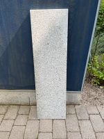 Granitplatte Stuttgart - Stuttgart-Mitte Vorschau