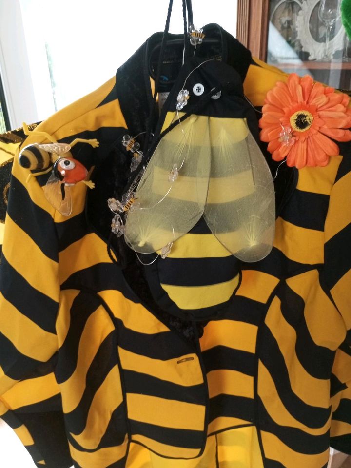 Bienenkostüm G. 50-52 unisex, nach Karneval ist vor Karneval in Aachen