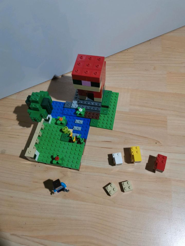 Lego 21135 Minecraft in Voerde (Niederrhein)